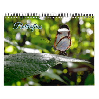Butterfly Calendar