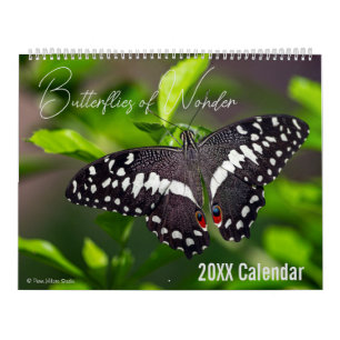 Butterfly Calendar Pick Your Start Month / Year