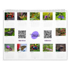 Butterfly Calendar Pick Your Start Month / Year