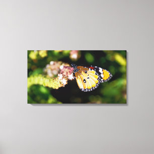 Butterfly Canvas Print