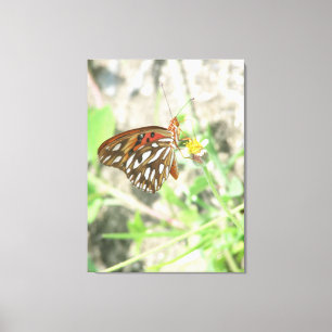 Butterfly Canvas Print