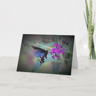 Butterfly, card