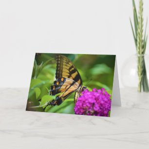 Butterfly, card
