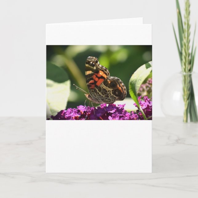 Butterfly, card (Front)