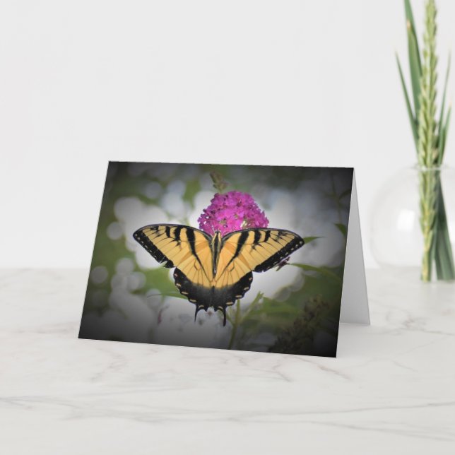 Butterfly, card (Front)