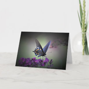 Butterfly, card