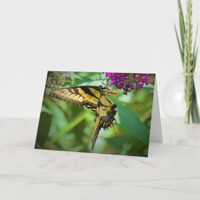 Butterfly, card (Front)