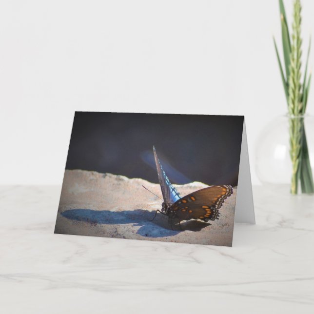 Butterfly, card (Front)