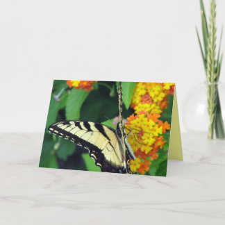Butterfly Card