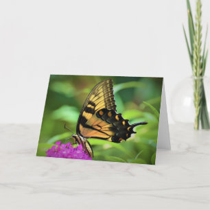 Butterfly, card