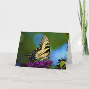 Butterfly, card