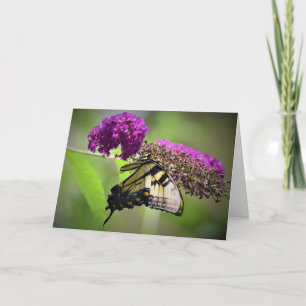 Butterfly, card