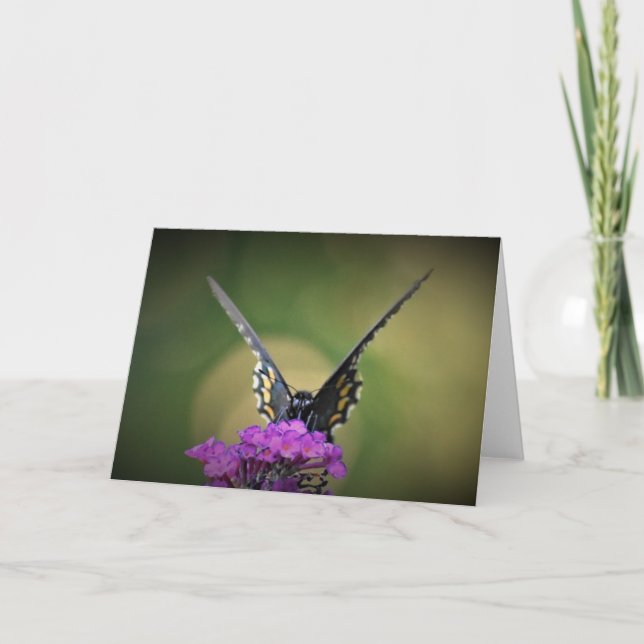 Butterfly, card (Front)
