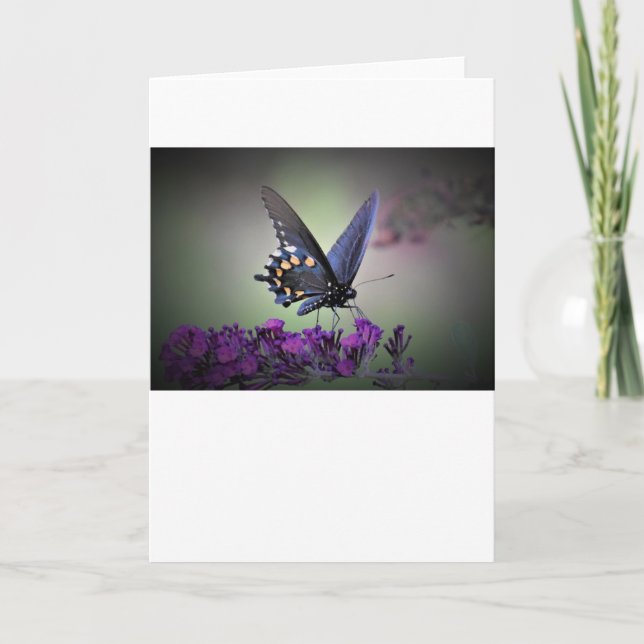Butterfly, card (Front)