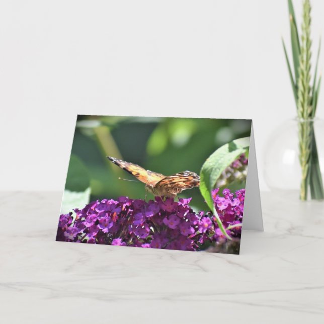 Butterfly, card (Front)