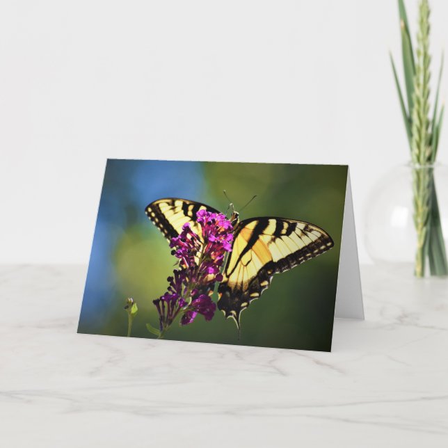 Butterfly, card (Front)