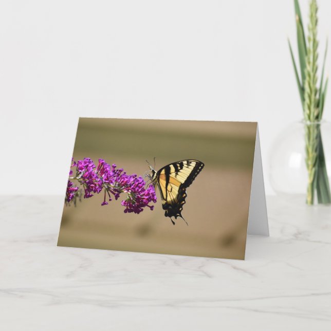 Butterfly, card (Front)