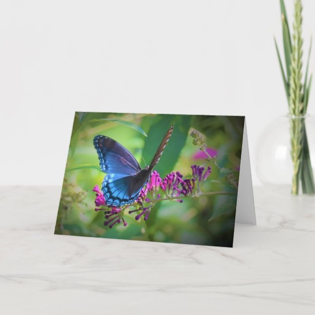 Butterfly, card (Front)
