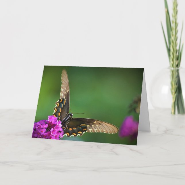 Butterfly, card (Front)