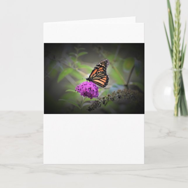 Butterfly, card (Front)
