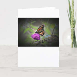 Butterfly, card