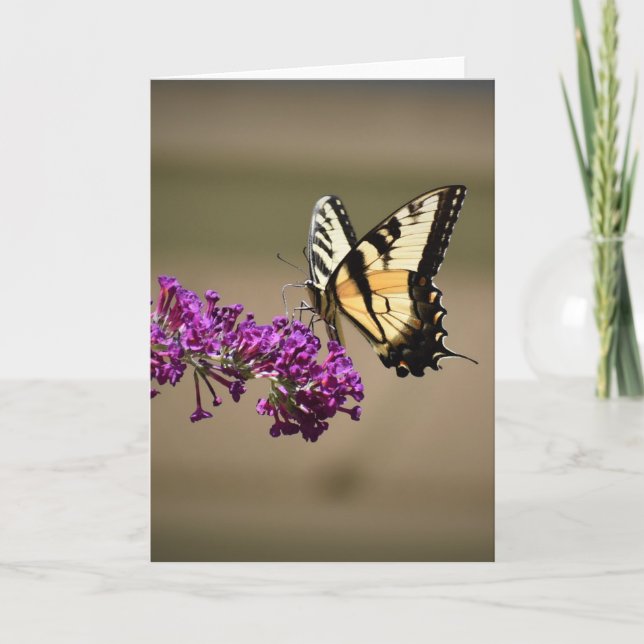 Butterfly, card (Front)