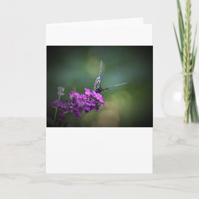 Butterfly, card (Front)