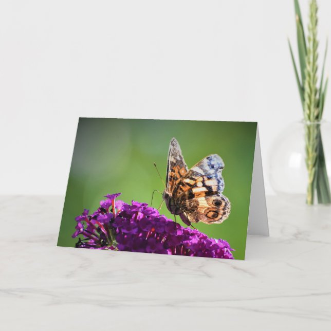 Butterfly, card (Front)