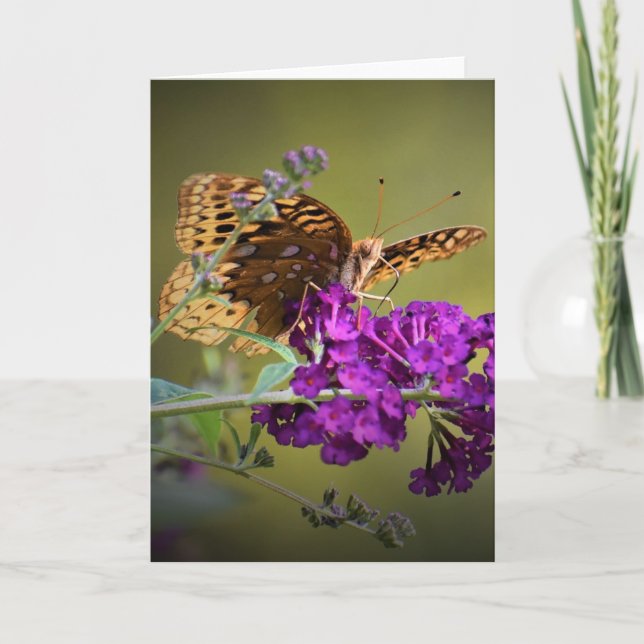 Butterfly, card (Front)