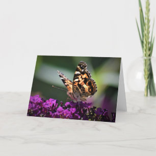 Butterfly, card