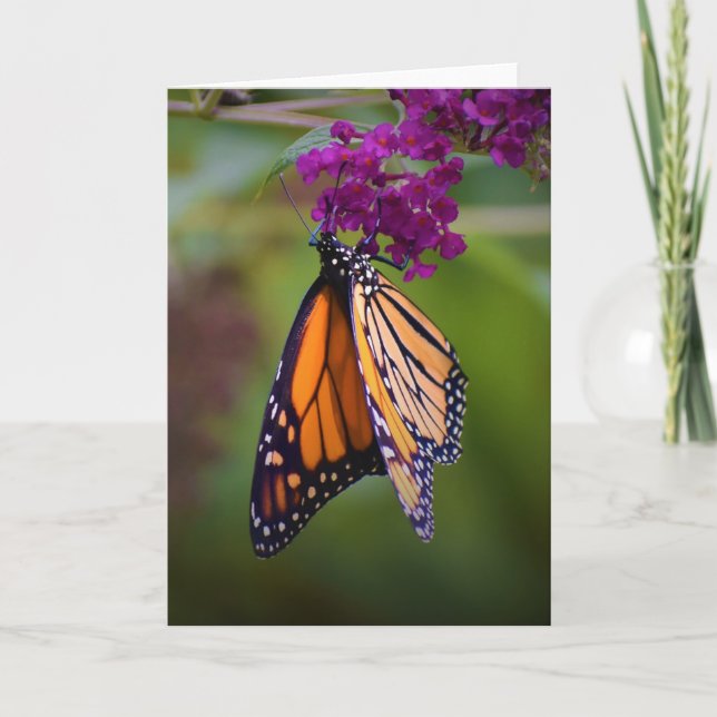Butterfly, card (Front)