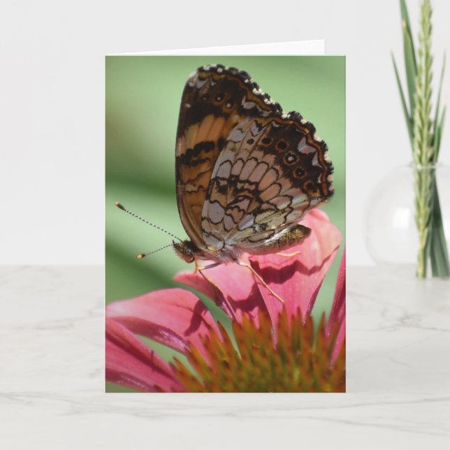 Butterfly, card (Front)