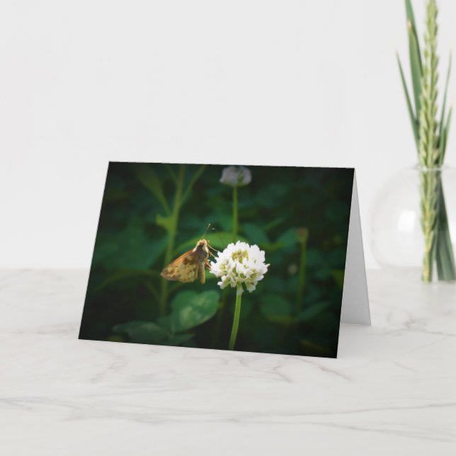 Butterfly, card (Front)