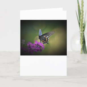 Butterfly, card