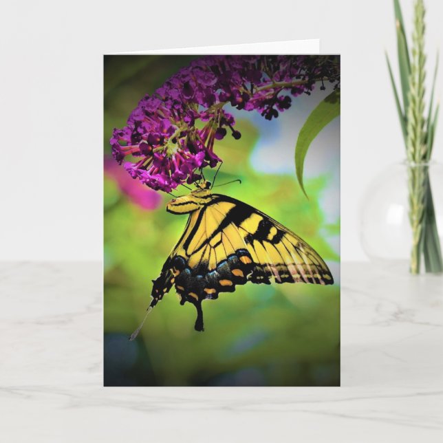 Butterfly, card (Front)