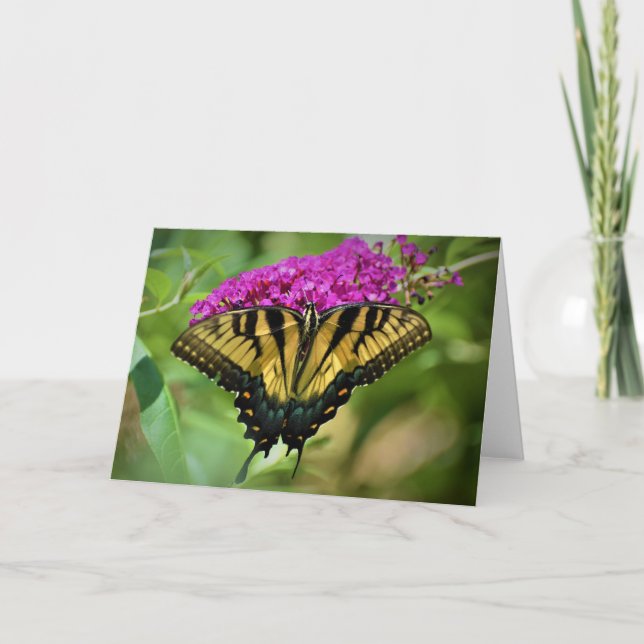 Butterfly, card (Front)