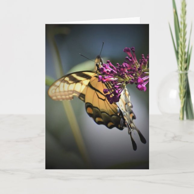Butterfly, card (Front)