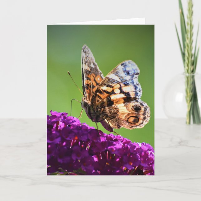 Butterfly, card (Front)