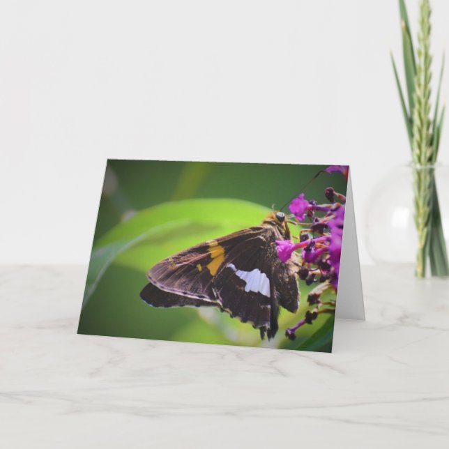 Butterfly, card (Front)