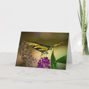 Butterfly, card