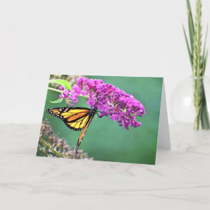 Butterfly, card