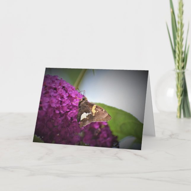 Butterfly, card (Front)