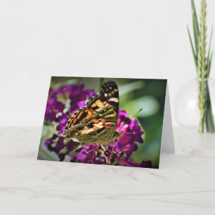 Butterfly, card