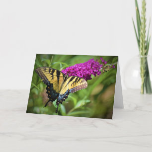 Butterfly, card