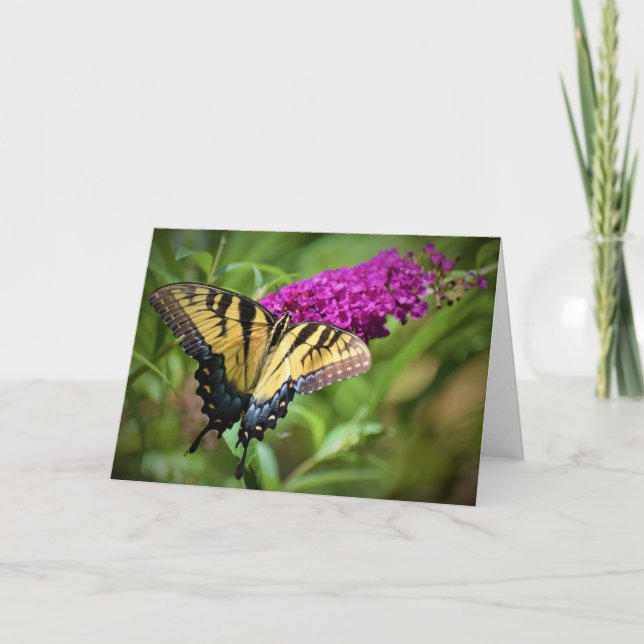 Butterfly, card (Front)