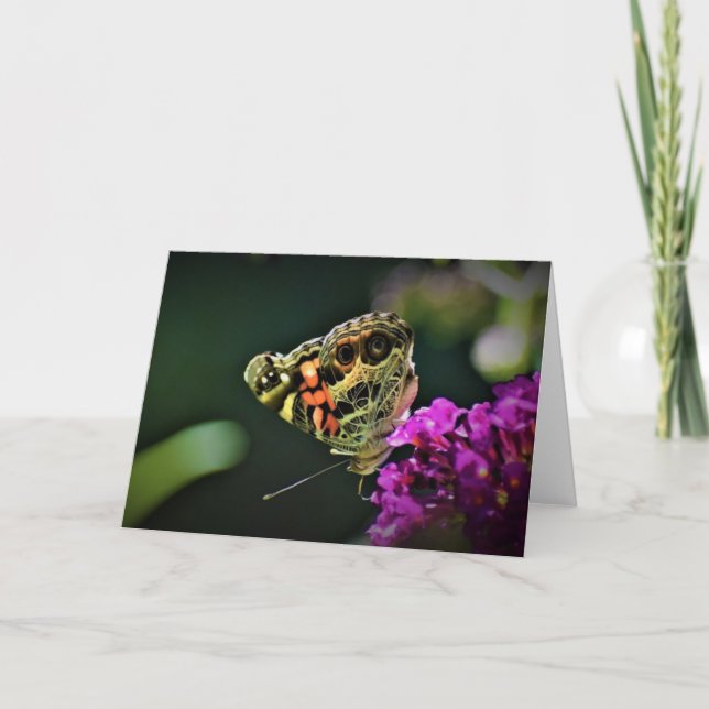 Butterfly, card (Front)