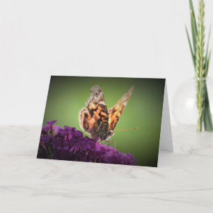 Butterfly, card