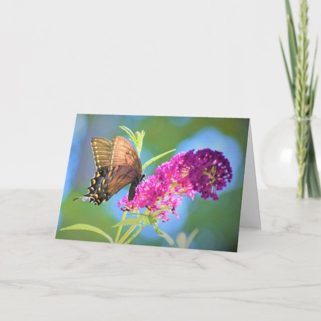 Butterfly, card (Front)