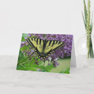 butterfly card