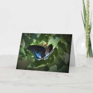 Butterfly, card